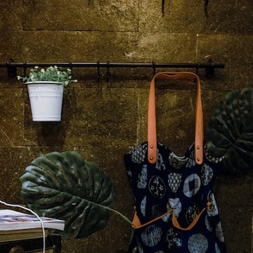 imagem aleatoria de unsplash