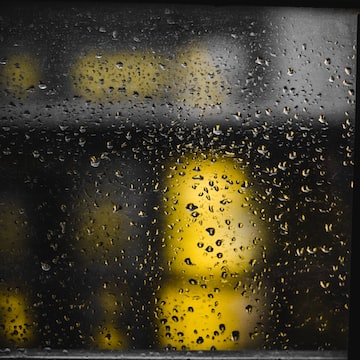 imagem aleatoria de unsplash