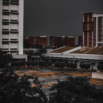 imagem aleatoria de unsplash