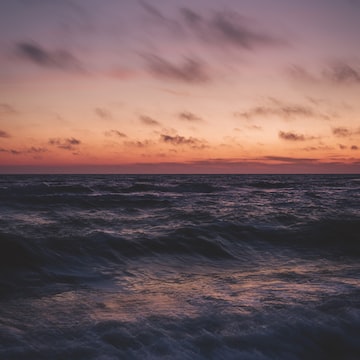 imagem aleatoria de unsplash